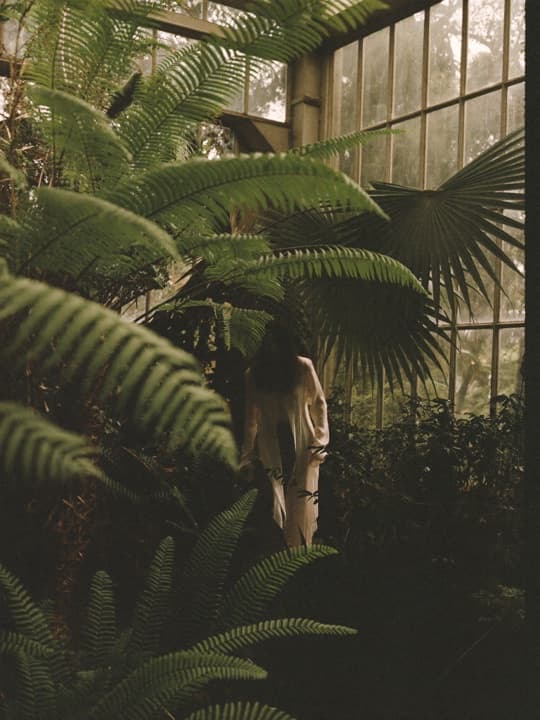 Greenhouse